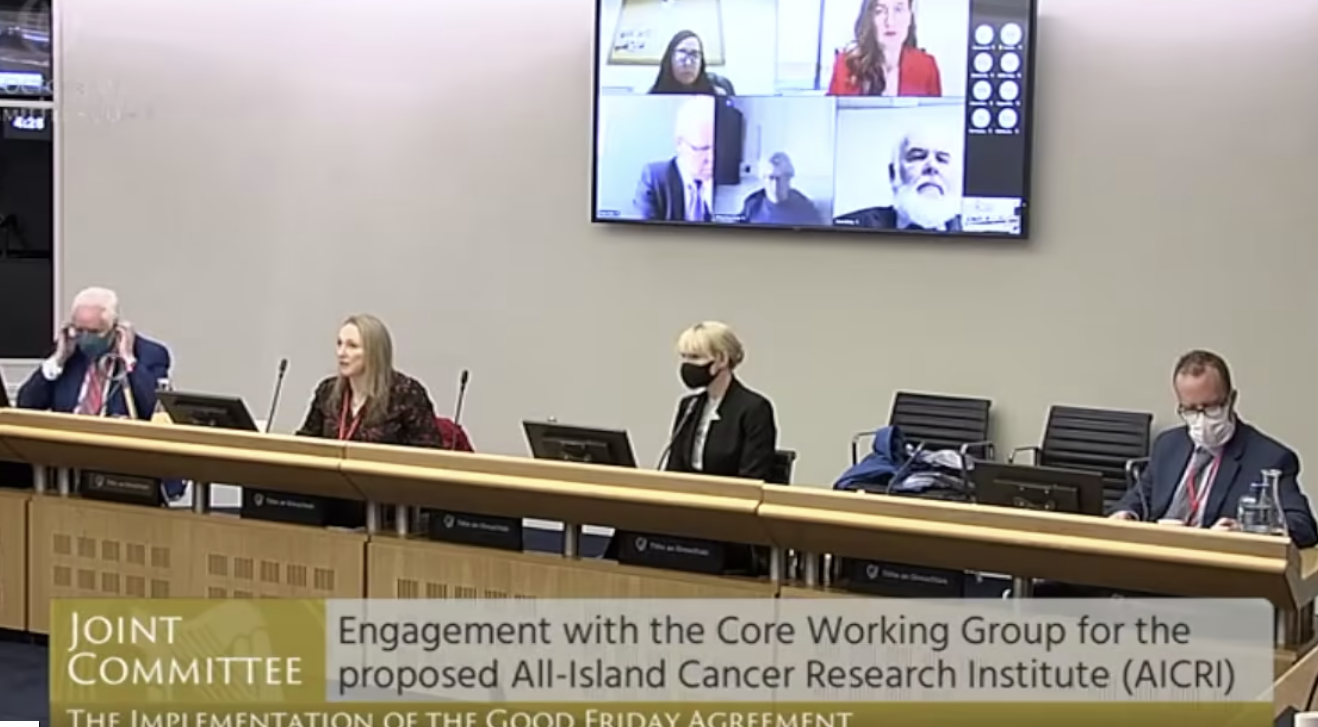 AICRI / Joint Oireachtas Committee on the Implementation of the Good ...